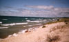 Lake Michigan beach. Click for a larger image.